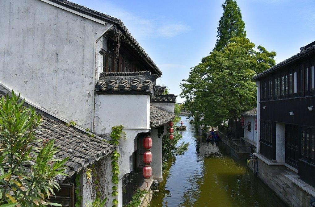 全战：幕府将军2